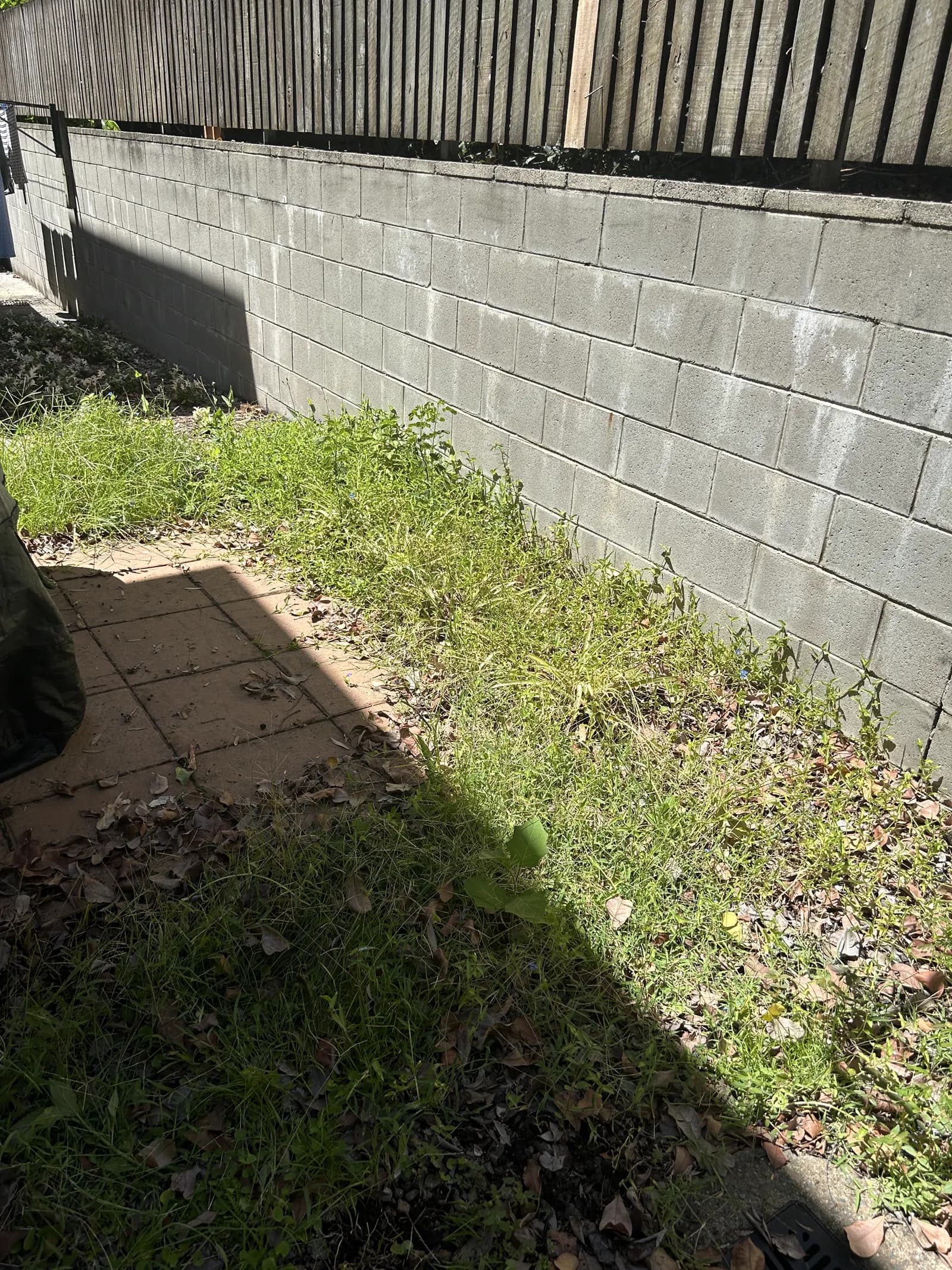 Paved courtyard with weeds growing through pavers before Lucky Duck Mowing
