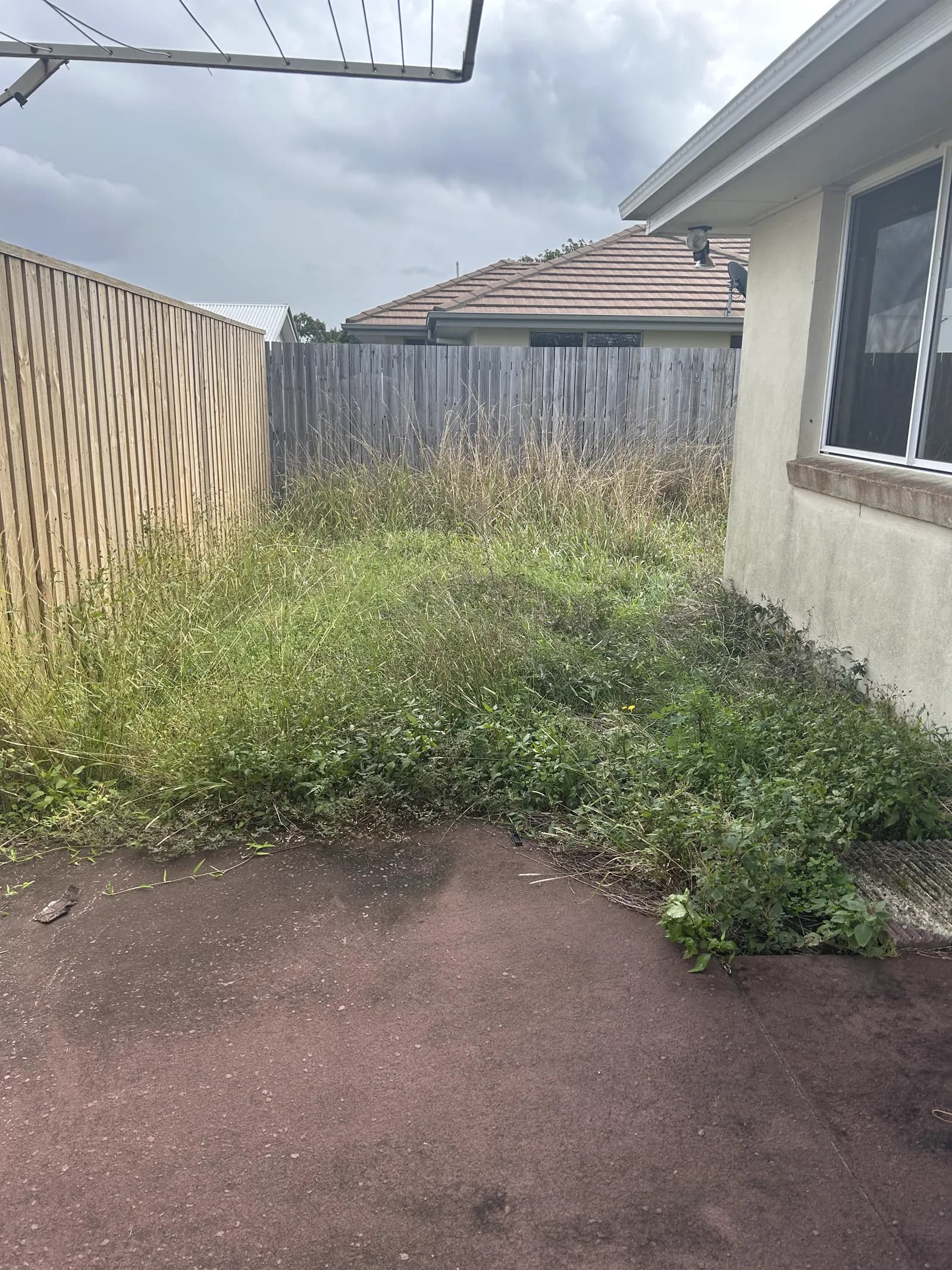 Long grass along a backyard deck edge before Lucky Duck Mowing
