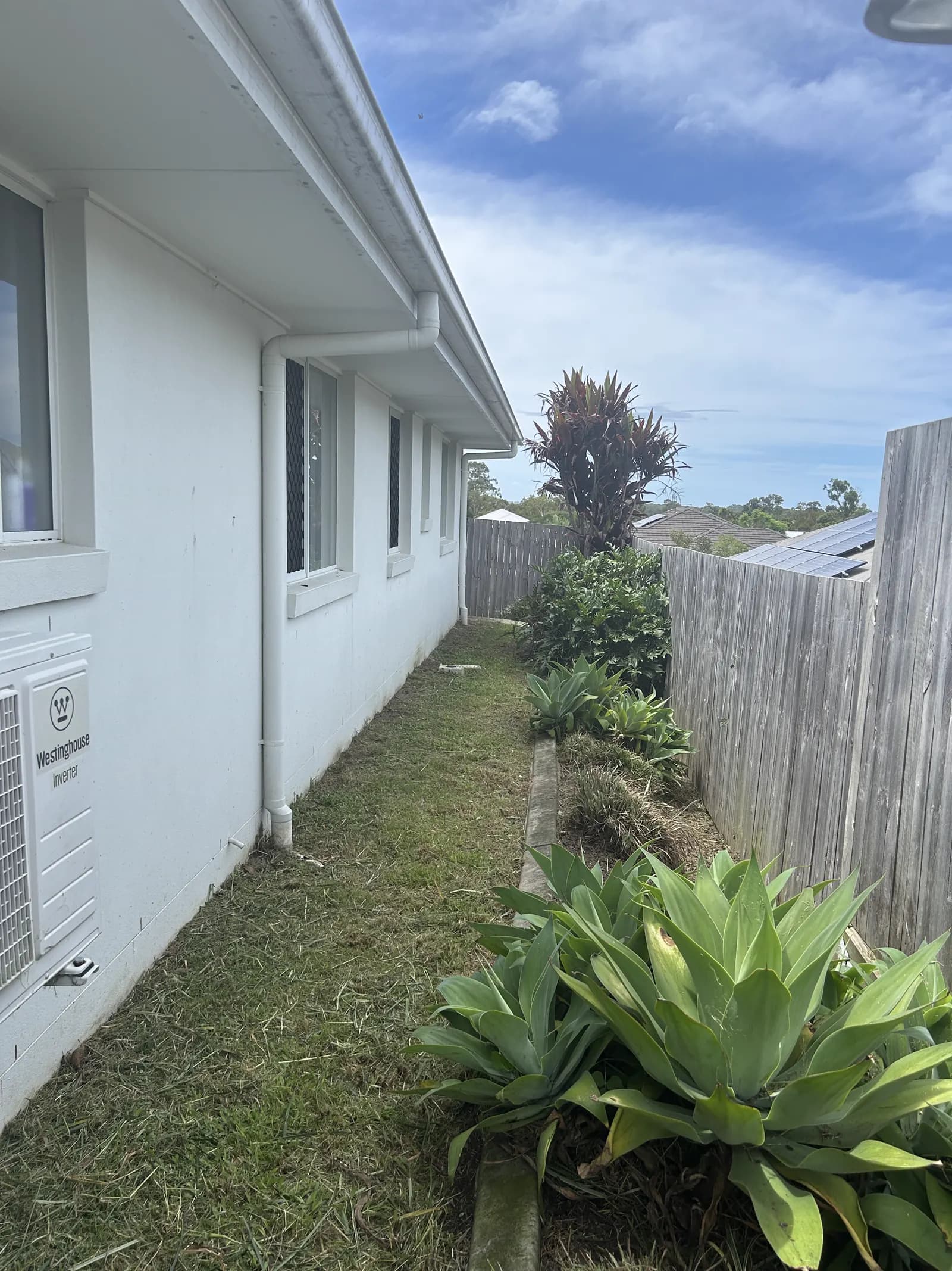 Side-path lawn strip whipper-snipped to a clean edge beside a Caloundra house