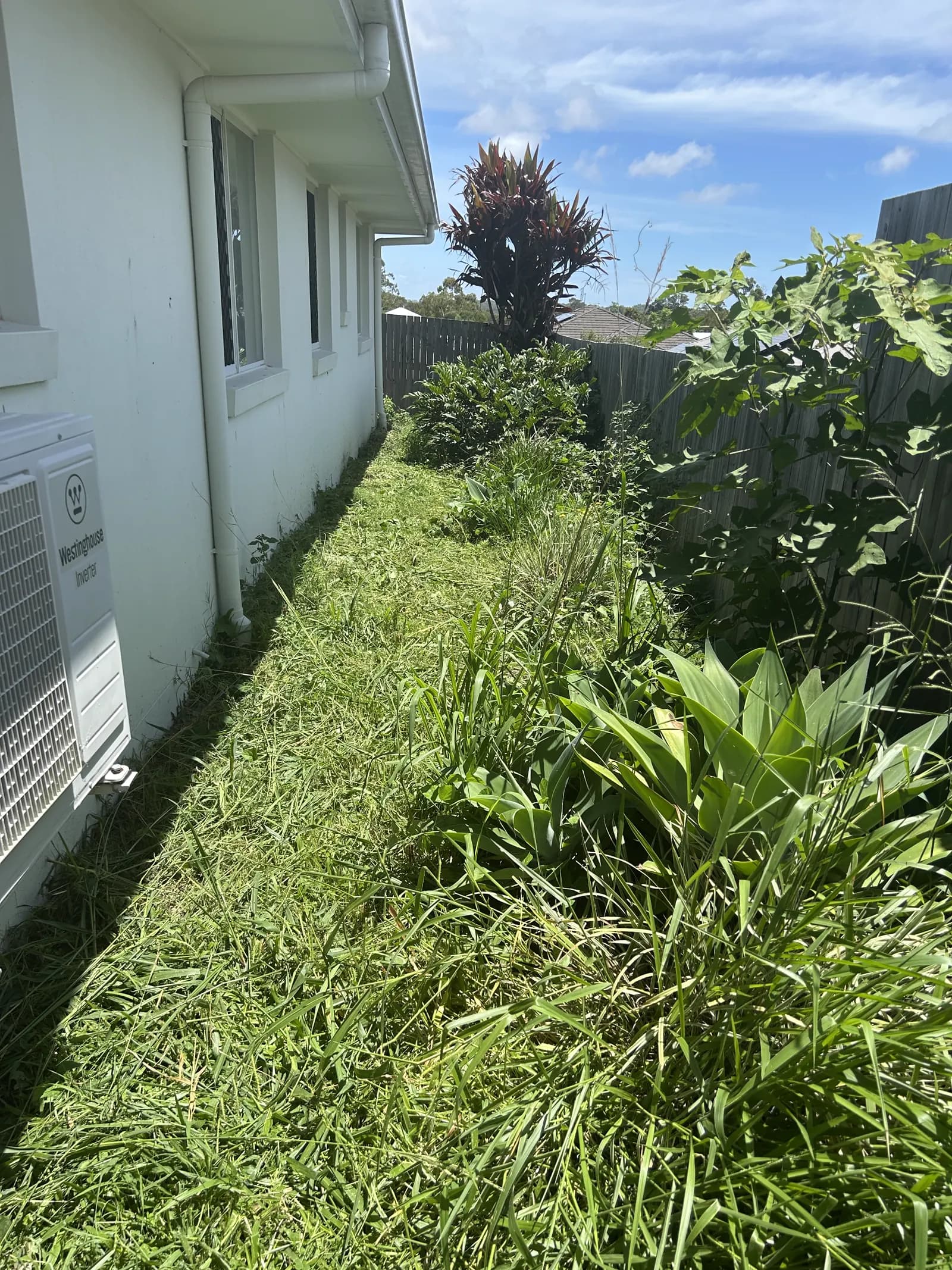 Tight side strip of overgrown lawn beside a Caloundra house, before