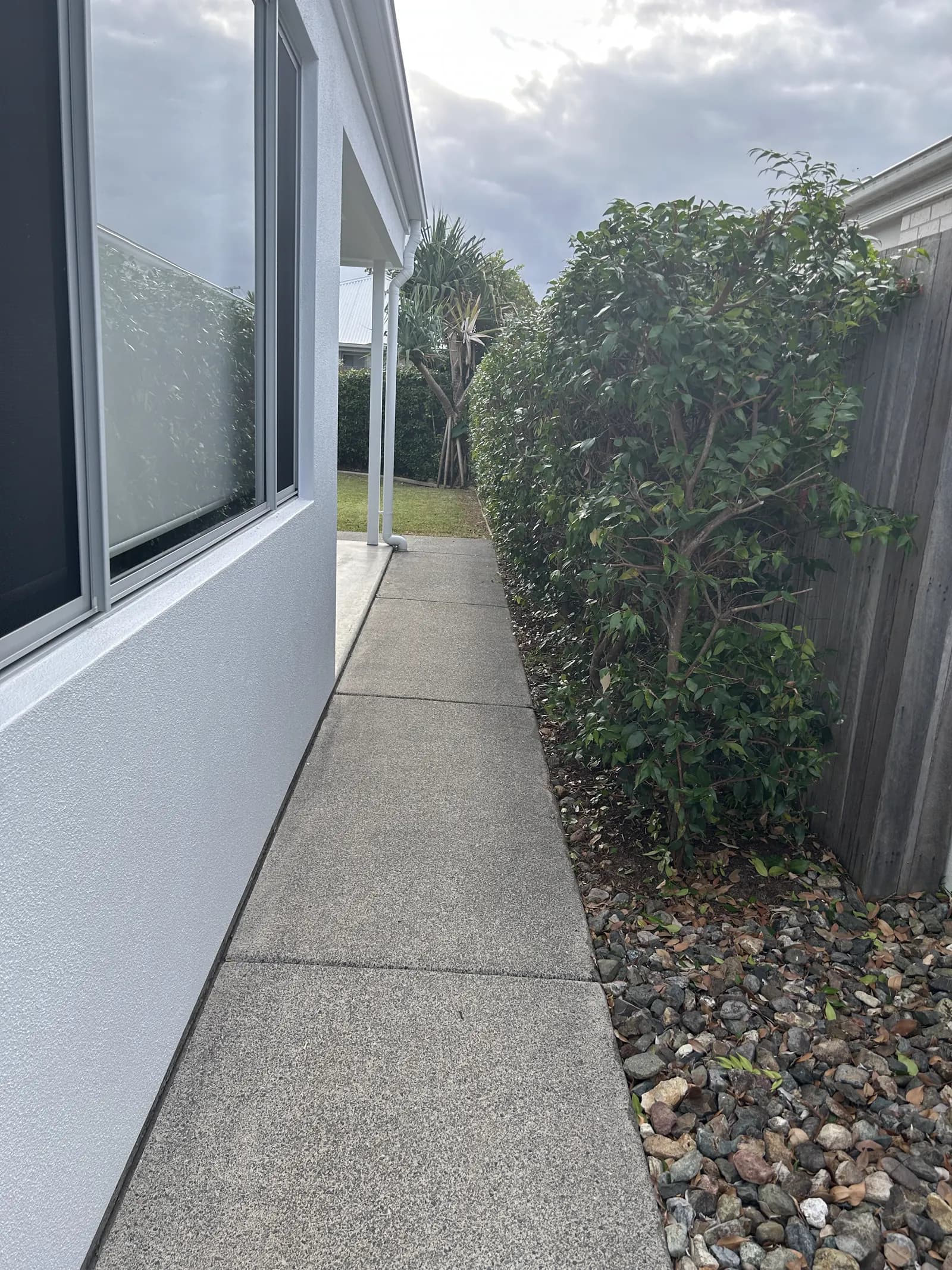 The same shrub heavily pruned back, giving the entry breathing room