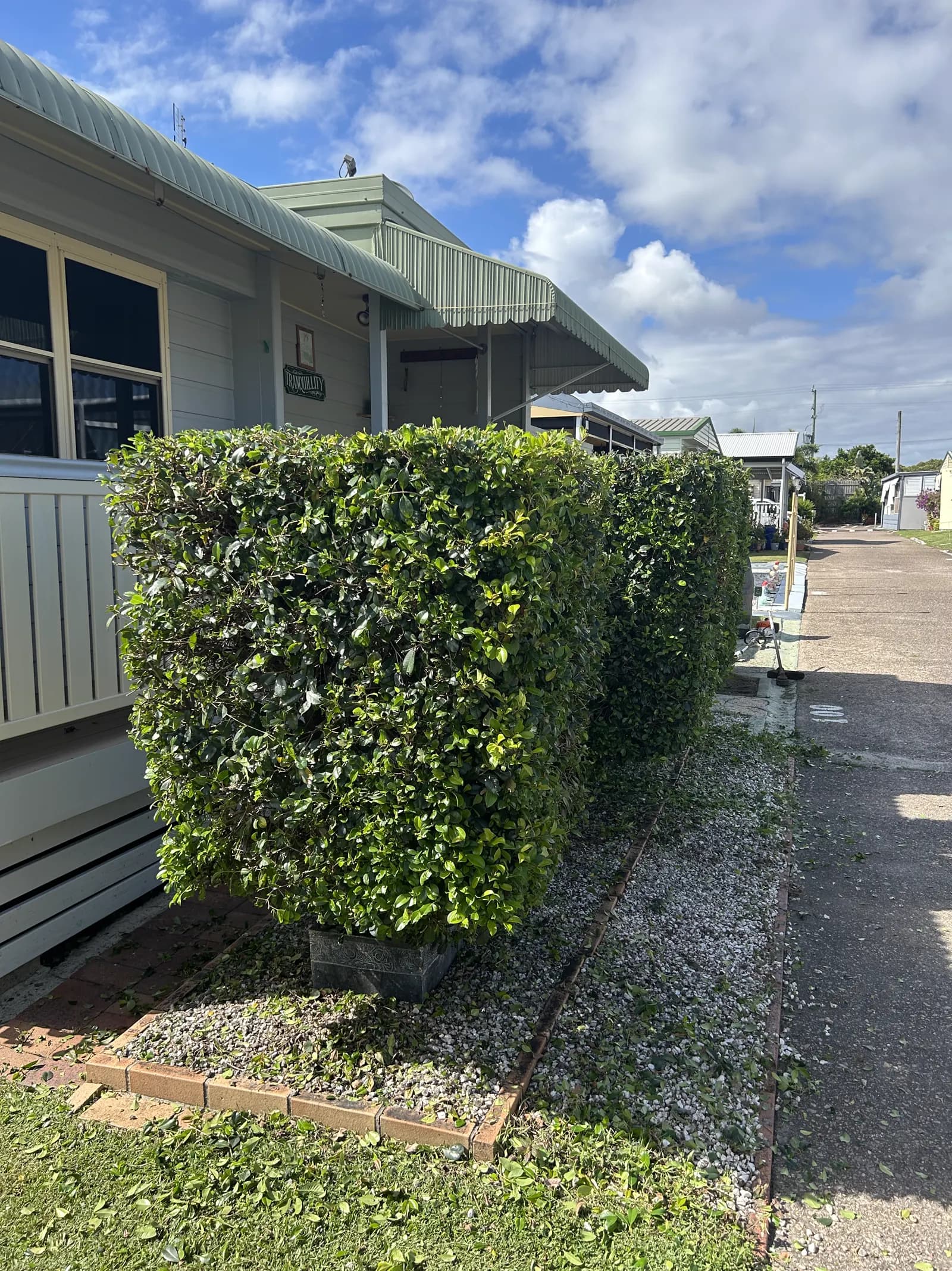 The same front hedge brought back to a clean rectangular shape