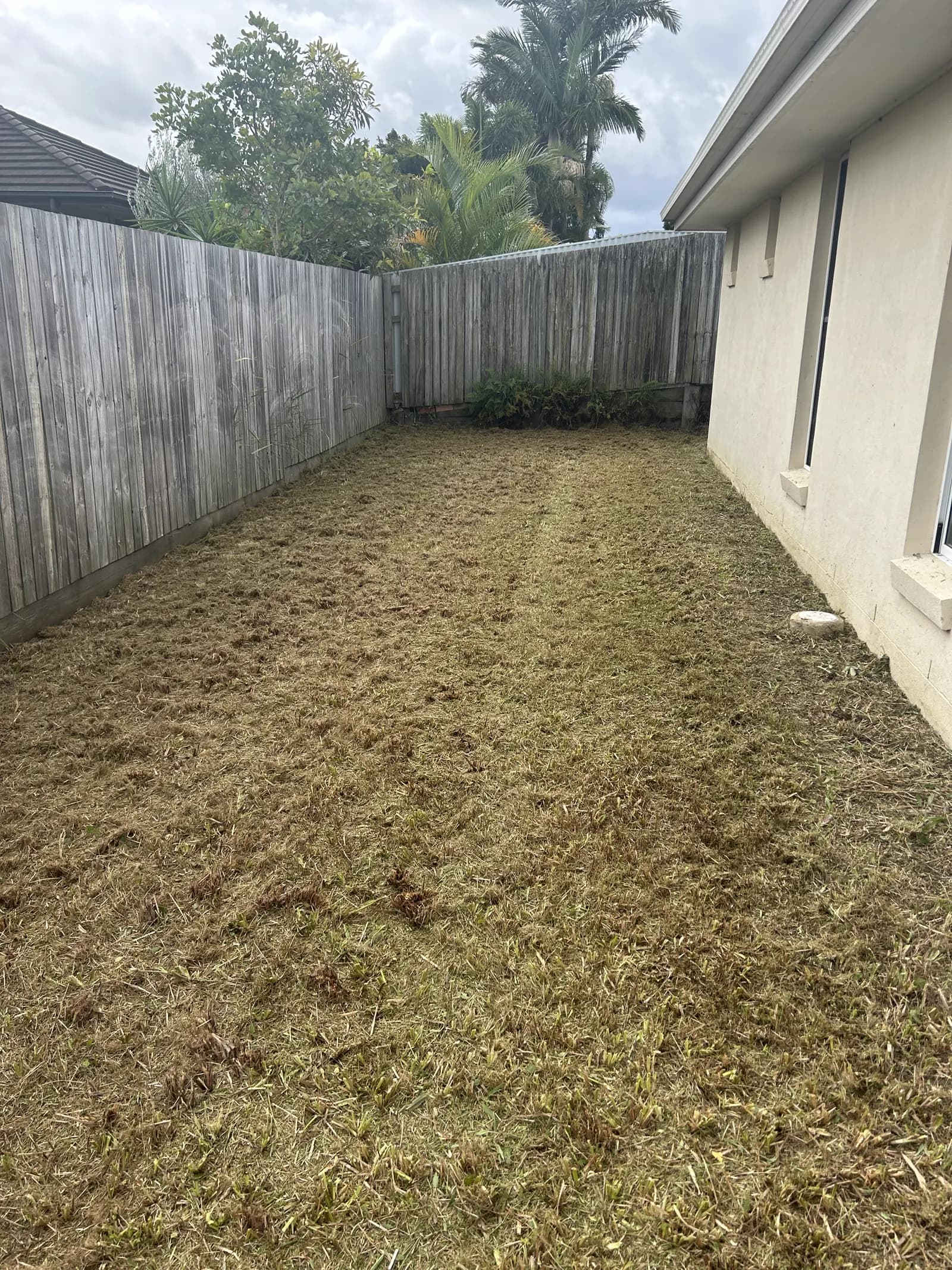 The same area cut to a clean even brown stubble, after