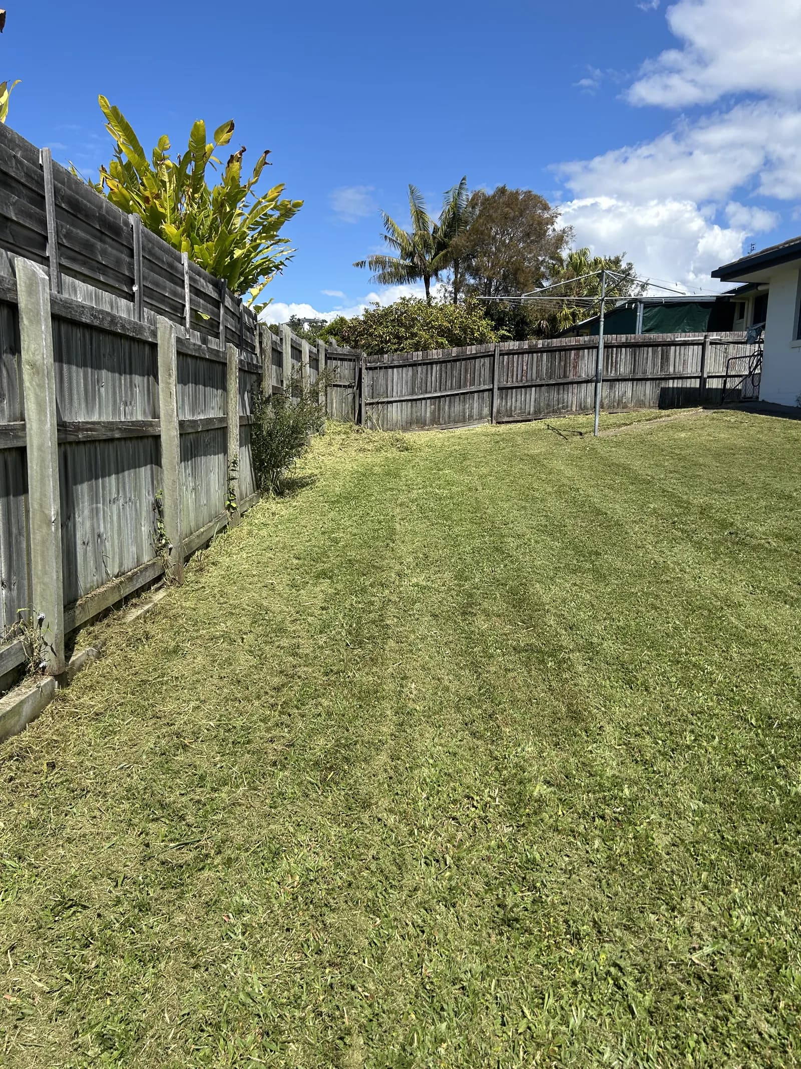 The same backyard lawn cleanly cut after Lucky Duck Mowing