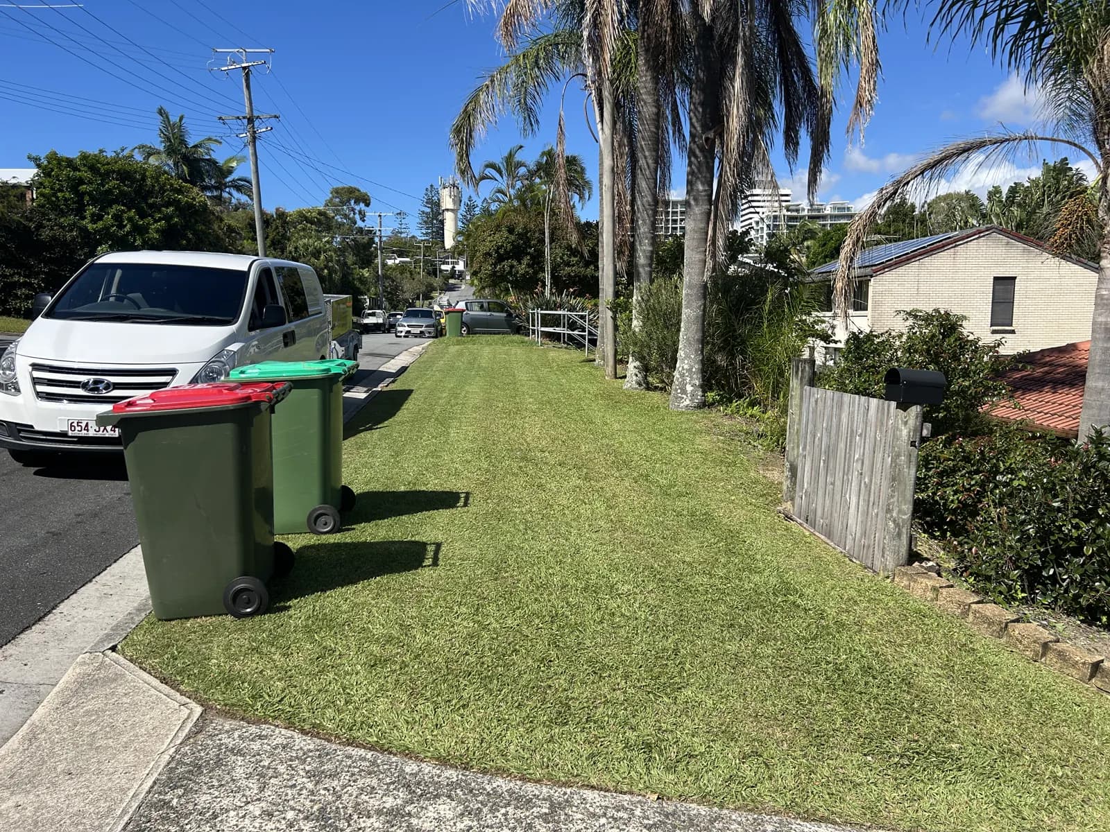Cleanly cut nature-strip lawn after Lucky Duck Mowing in Caloundra