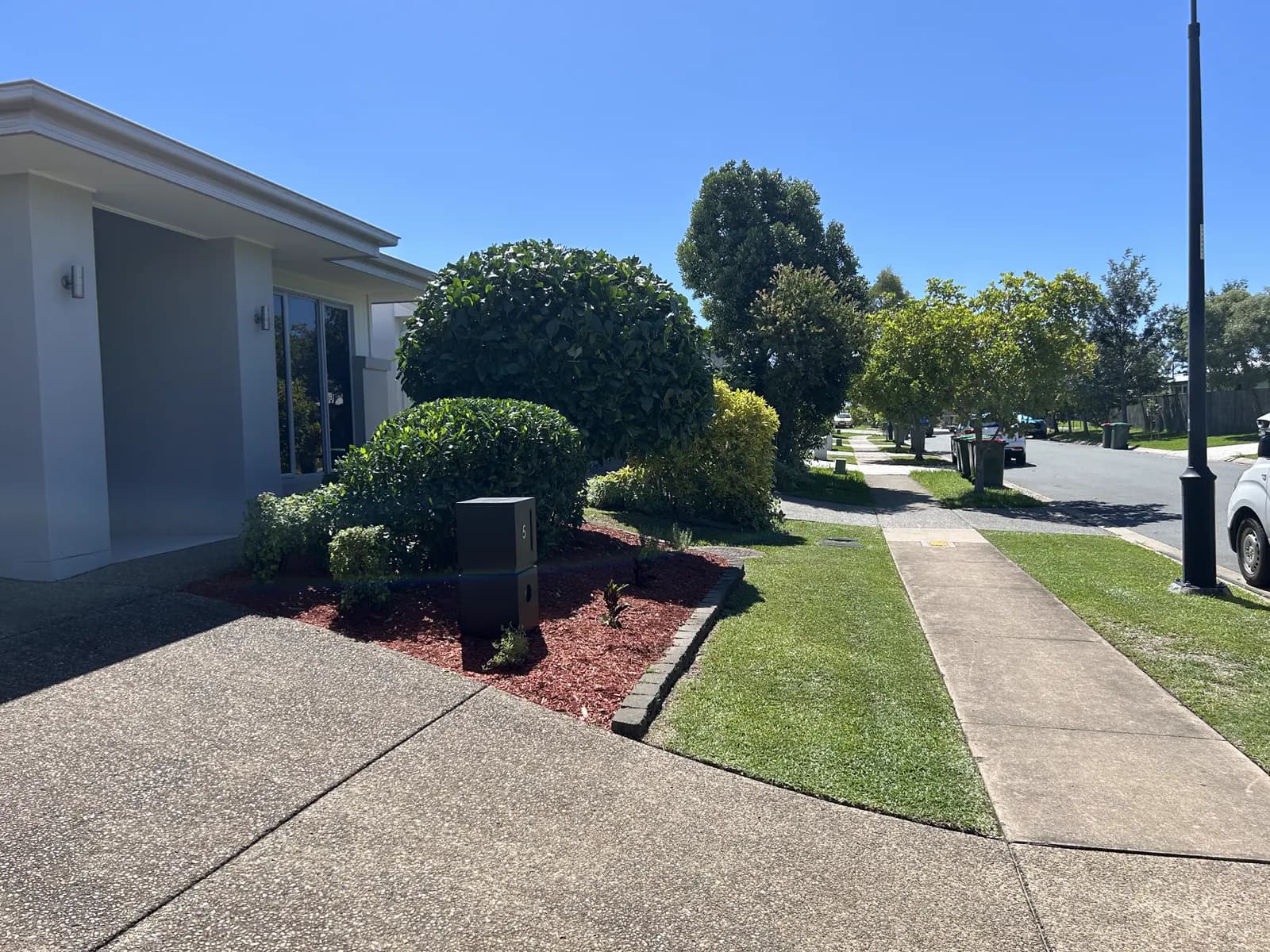 Lucky Duck Mowing hedging job, freshly shaped on the Sunshine Coast