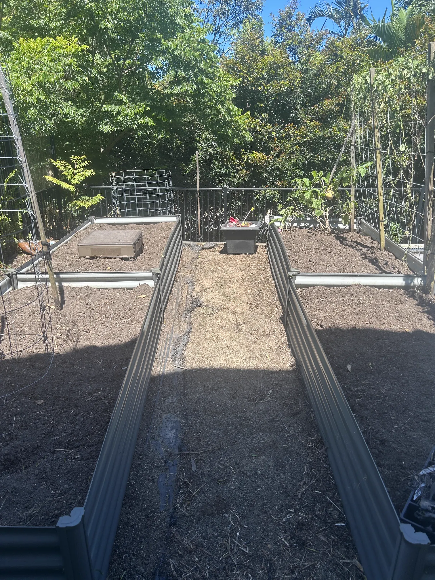 Same garden bed cleared back to bare soil, mid-cleanup